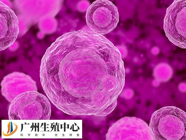 做试管促排卵打乐芮的作用是什么