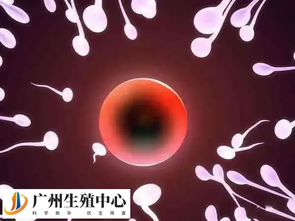 畸形精子能不能做试管婴儿