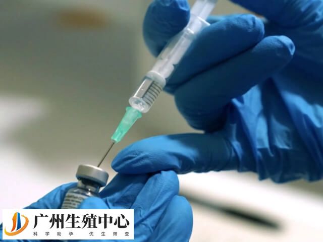 试管移植囊胚一般放几个